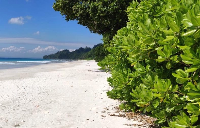 Best Beaches of Neil & Havelock Islands- NC Travel Andaman