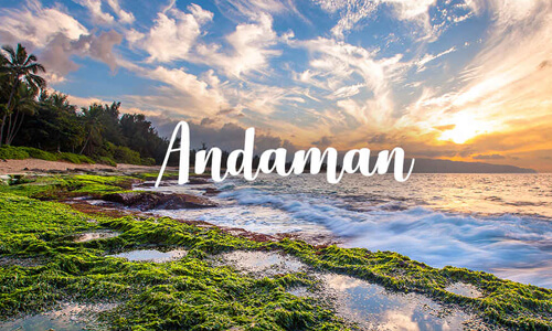THE ALLURING ANDAMAN TOUR PACKAGE